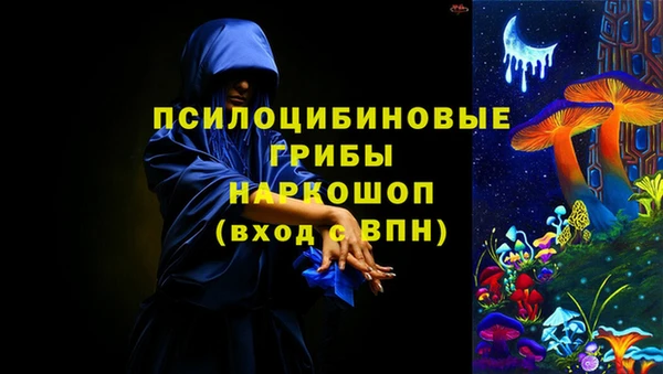 винт Арсеньев