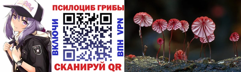 MEGA ссылка Нея Псилоцибиновые грибы GOLDEN TEACHER купить наркоту