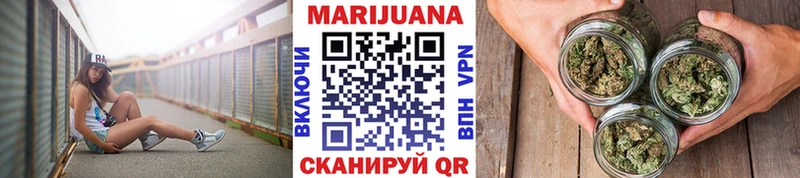 Бошки Шишки план Нея